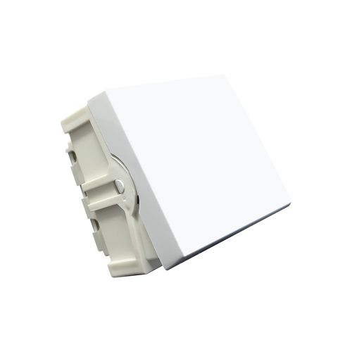 Modulo Home Branco 1 TC Intermediario 10A Grande B-Lux
